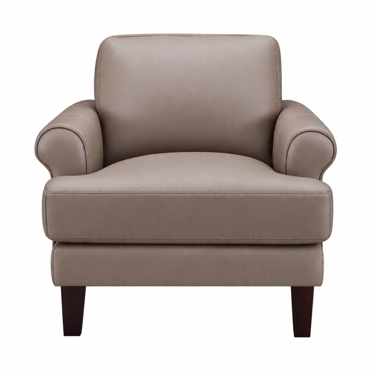 Austra Genuine Leather Accent Chair – Accents@Home
