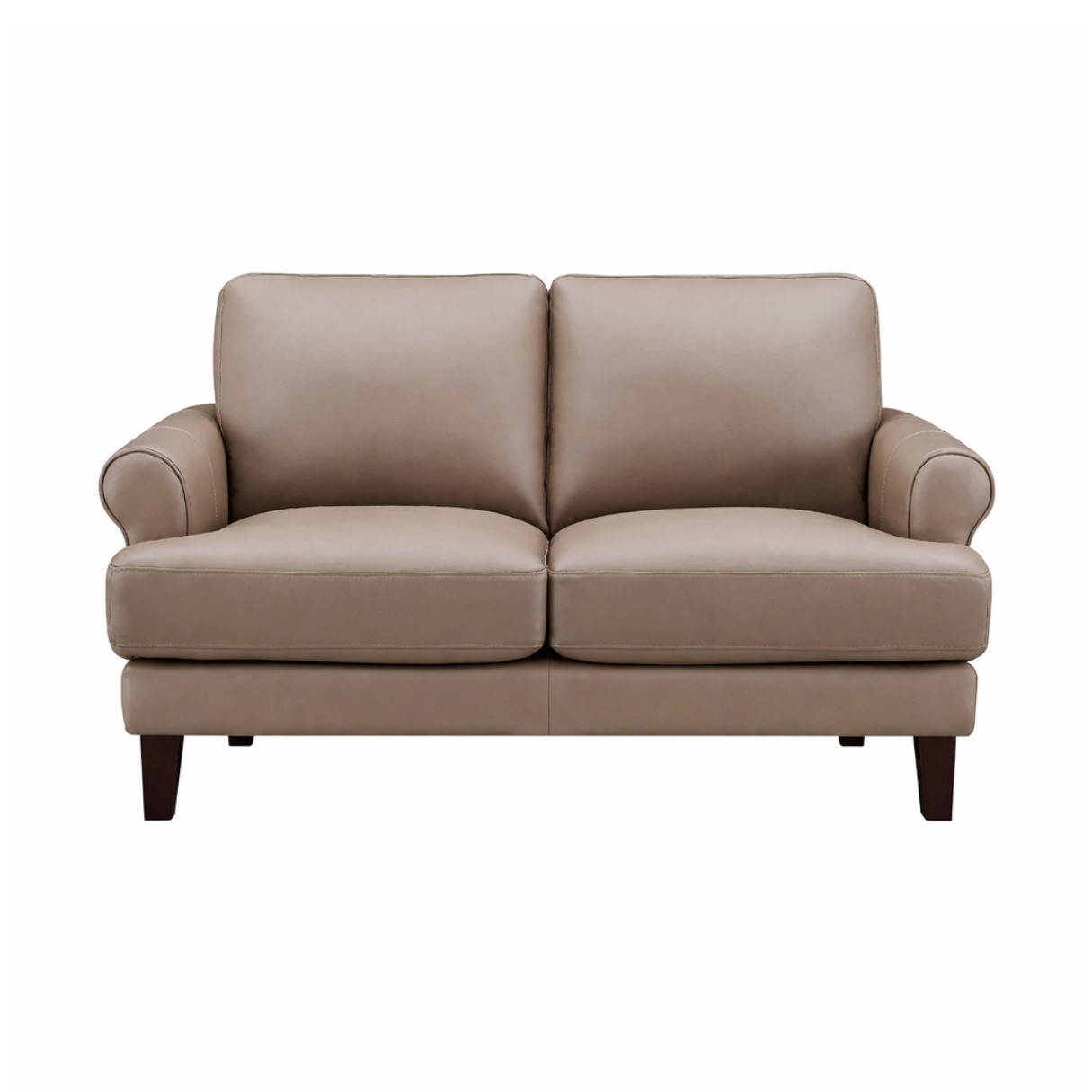 Austra Genuine Leather Loveseat