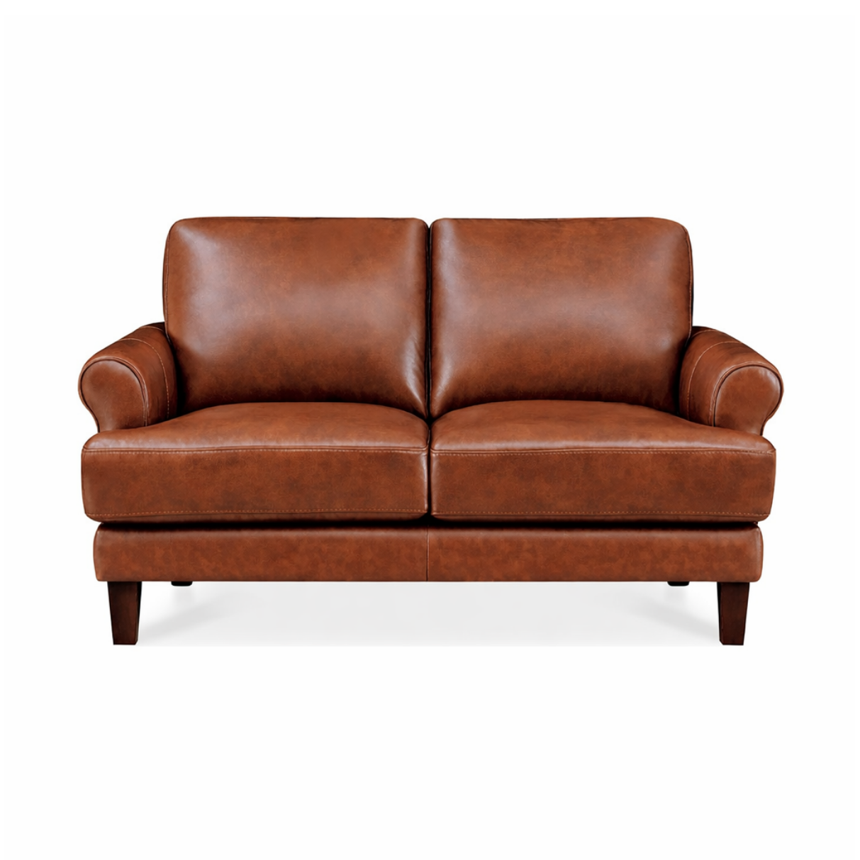 Austra Genuine Leather Loveseat