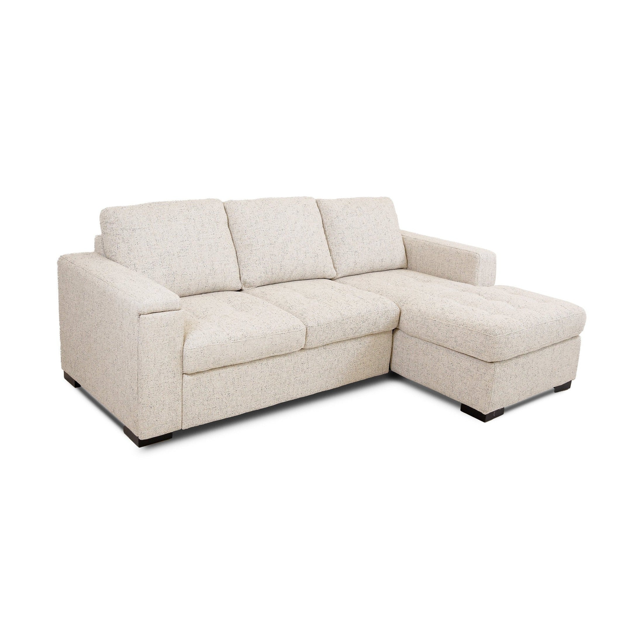 Bjorn Pull Out Sleeper Sectional