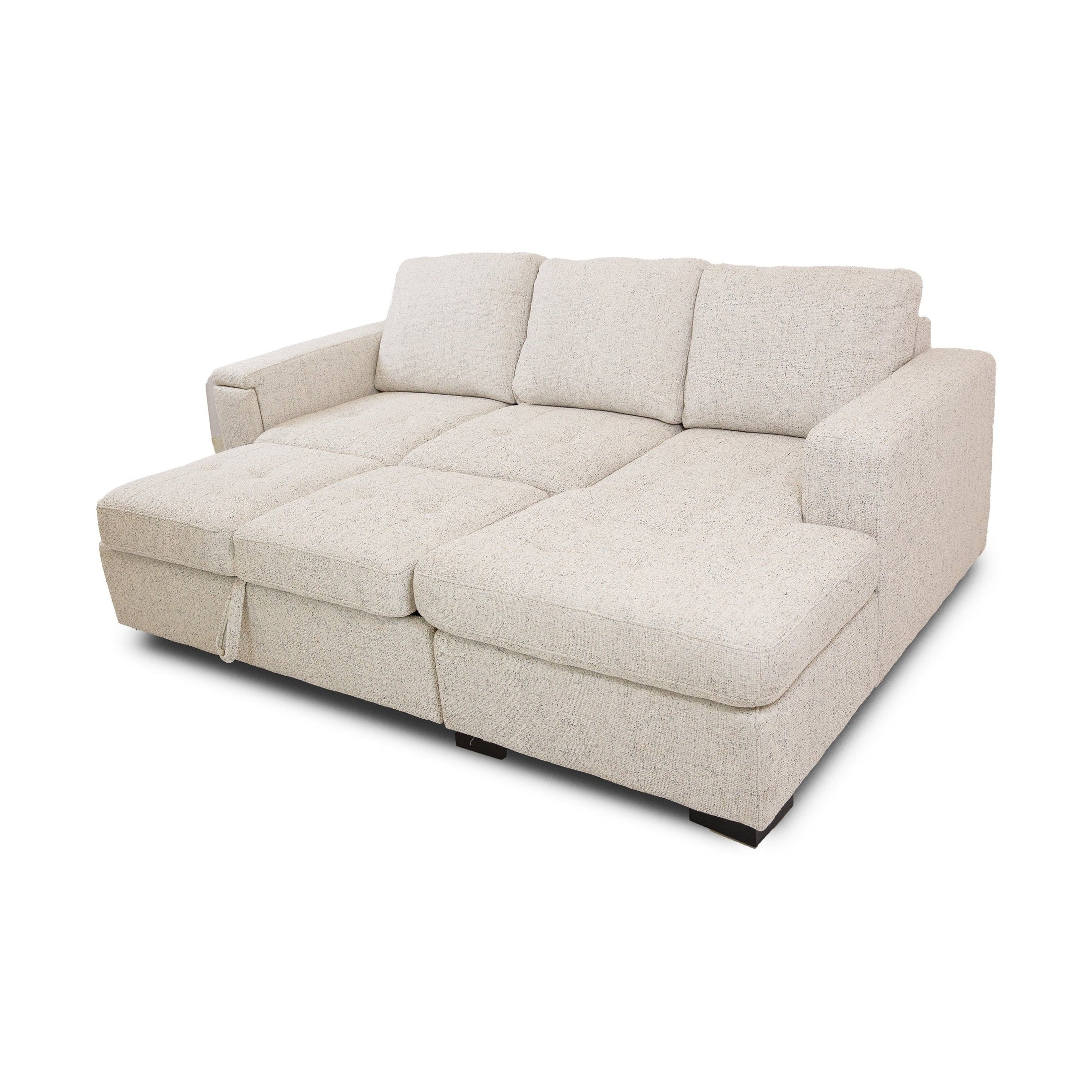 Bjorn Pull Out Sleeper Sectional