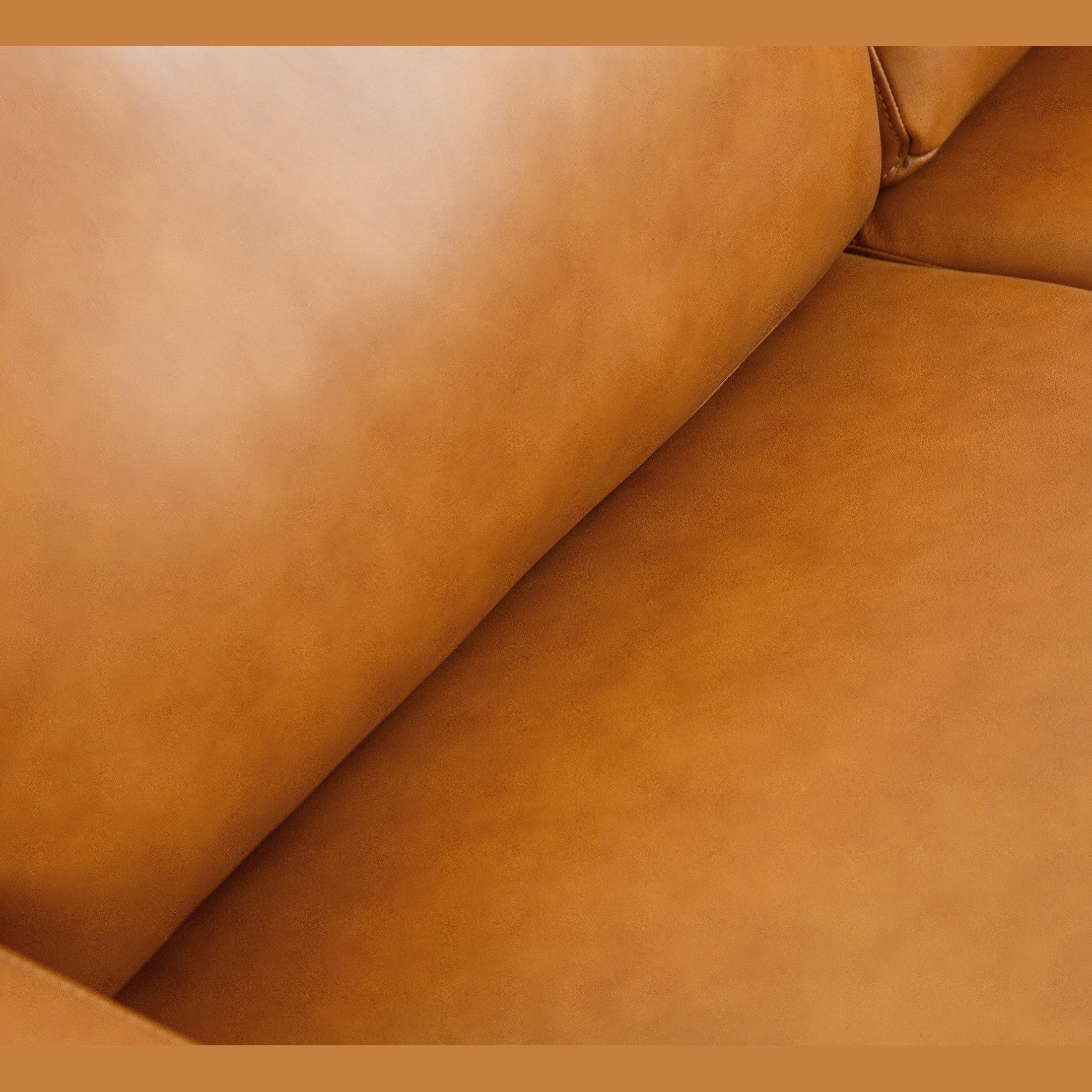 Roba Genuine Leather Sofa