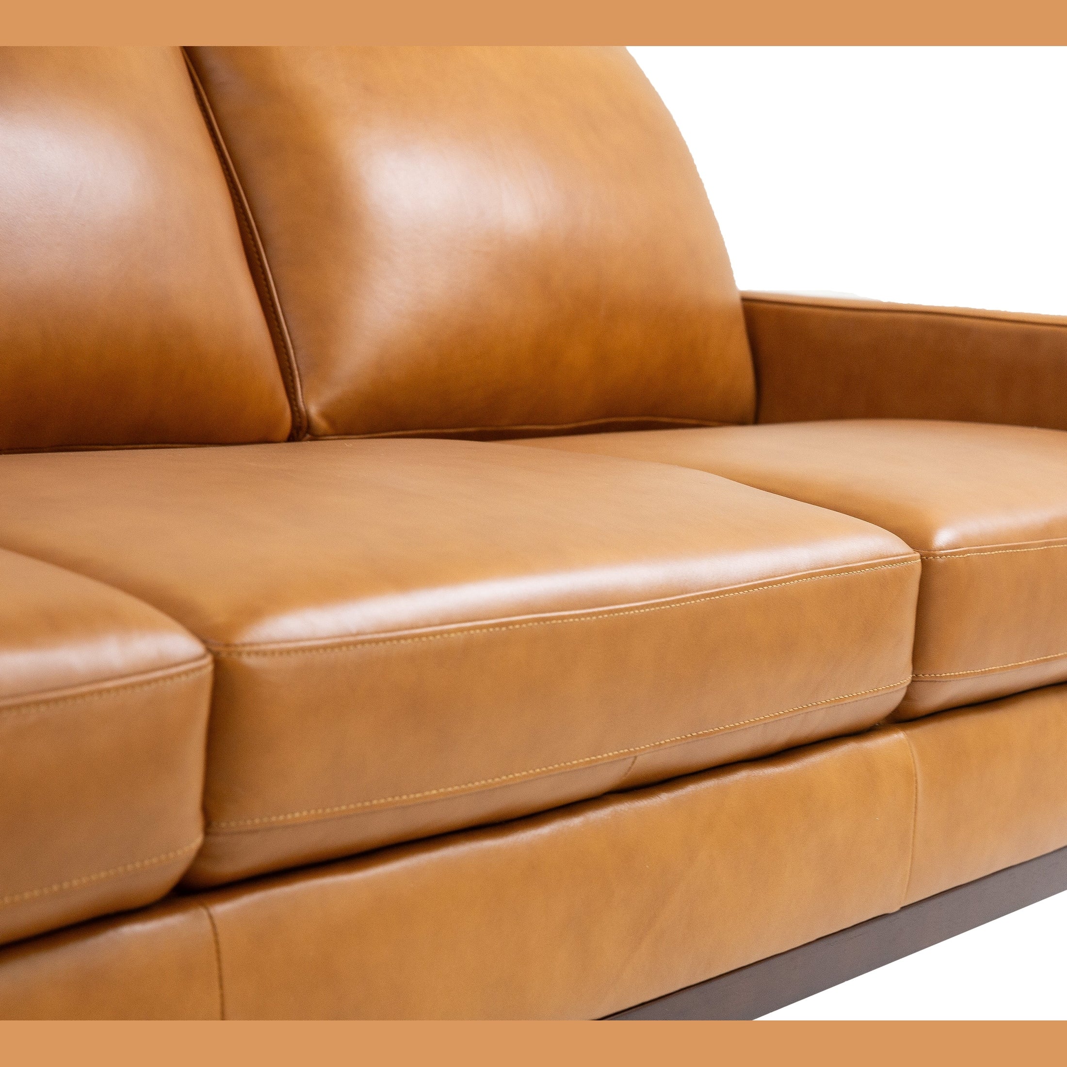 Roba Genuine Leather Sofa