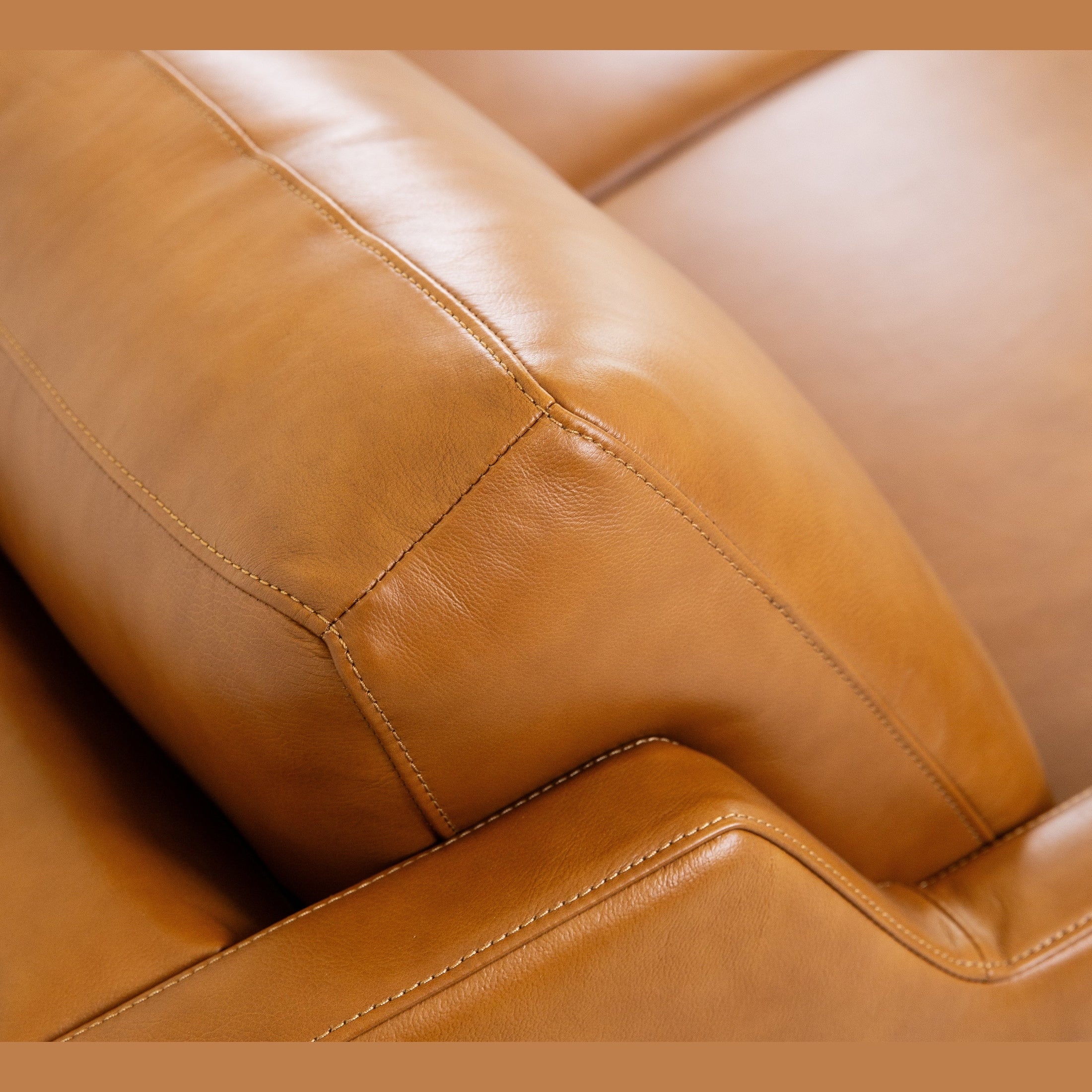 Roba Genuine Leather Sofa