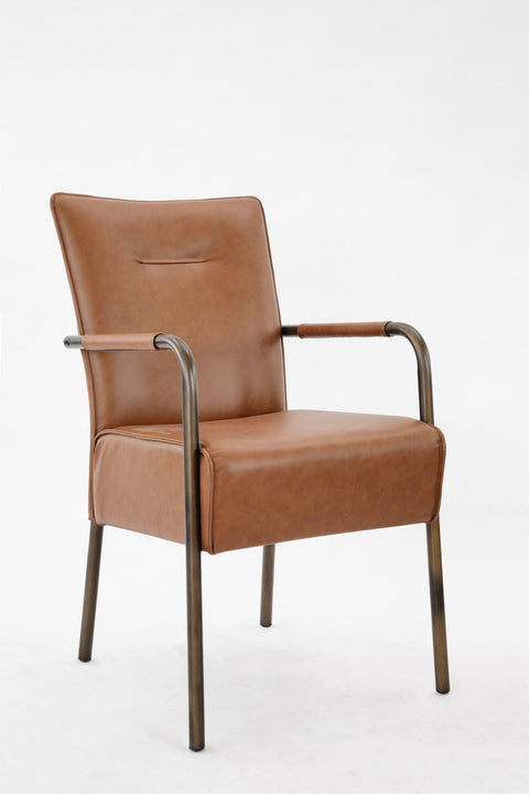 Lachlane Dining Chair