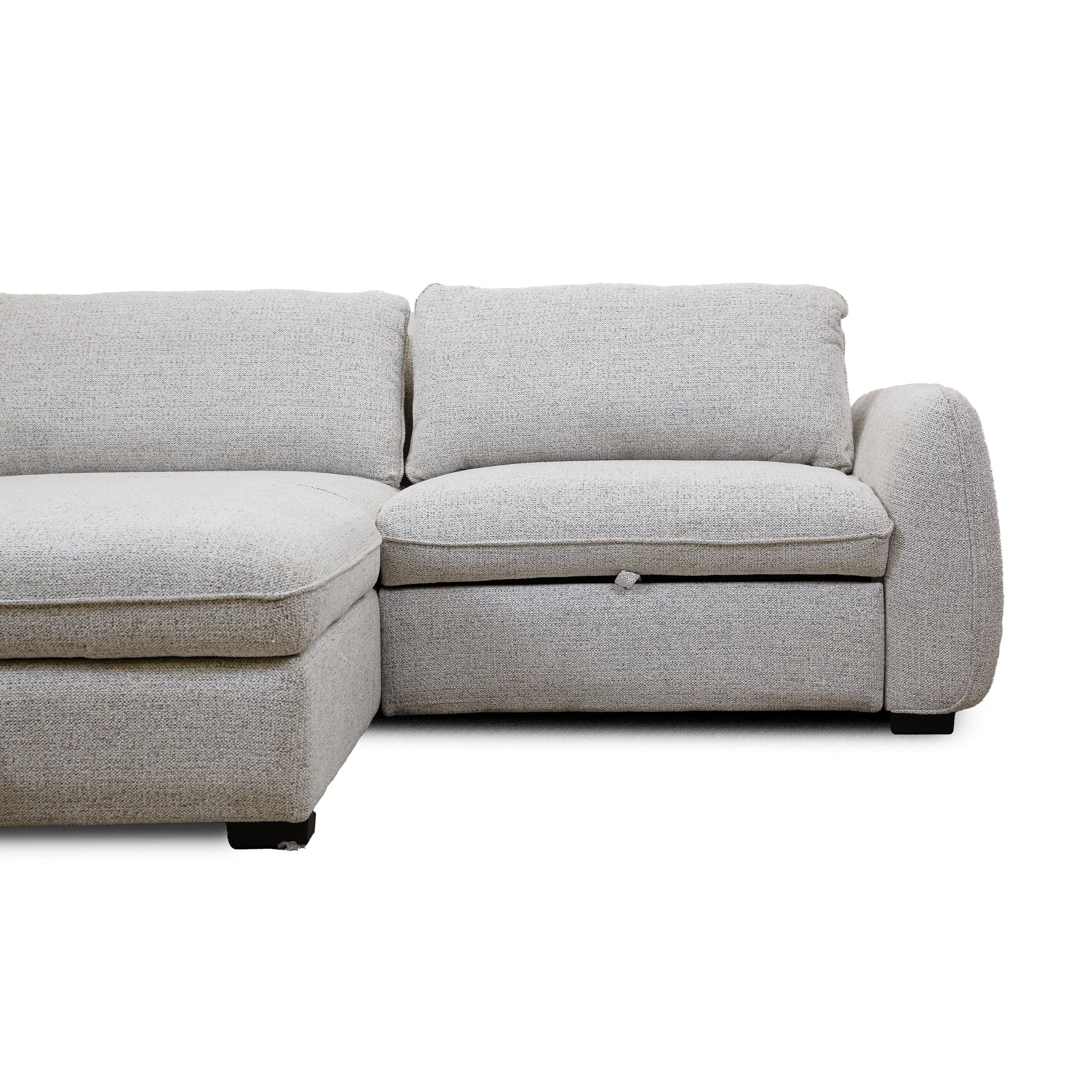 Cassey Pullout Sleeper Sectional with  Storage Chaise