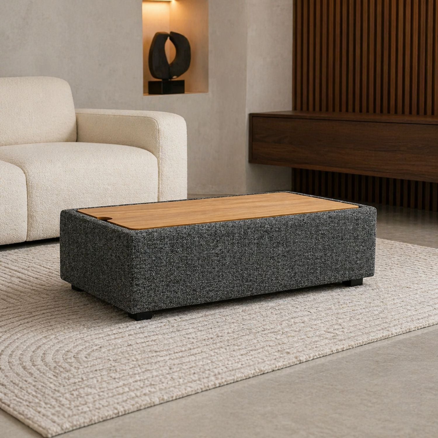 FLOOR MODEL Marliss Console with Storage - Vinci Ash