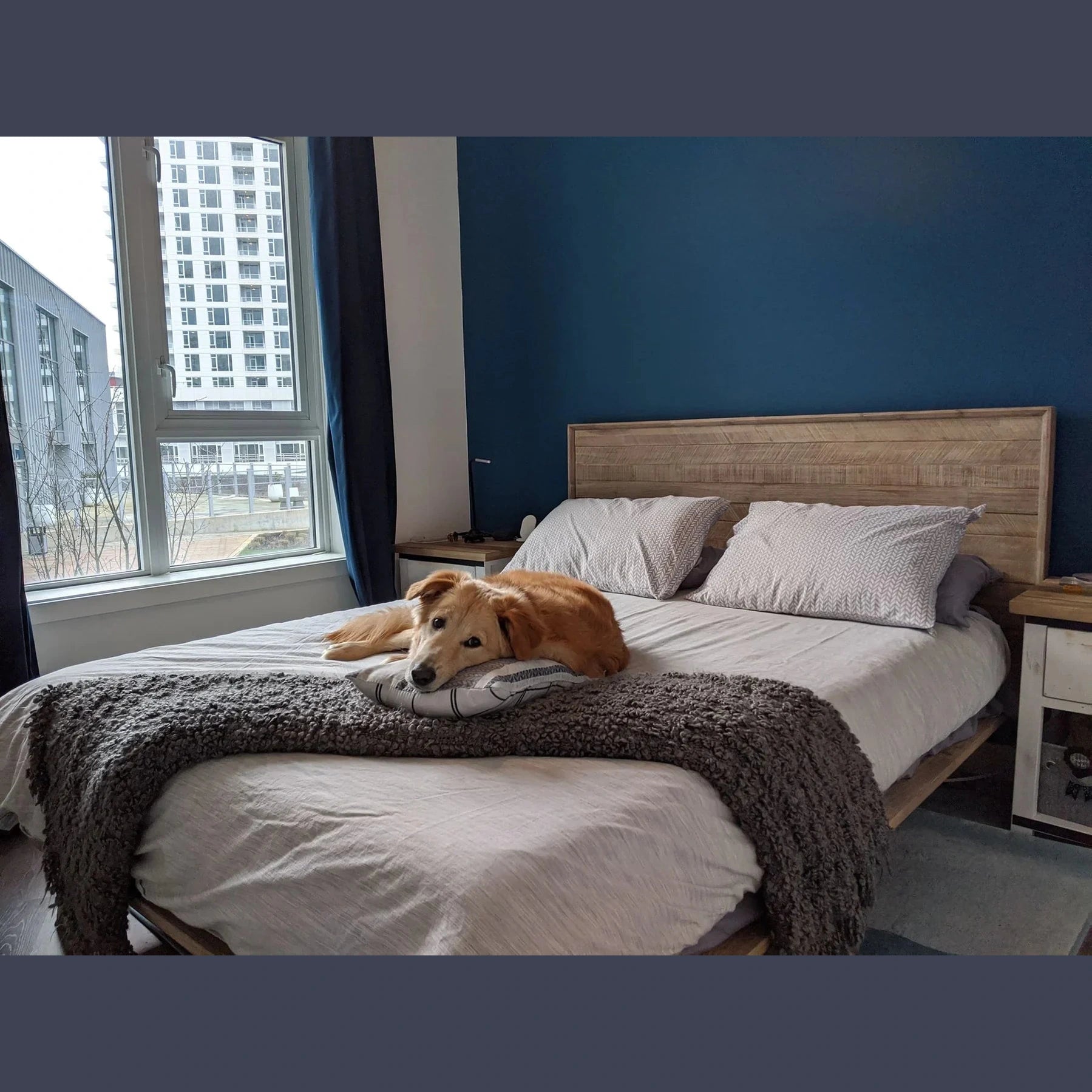 Elvyn Bed