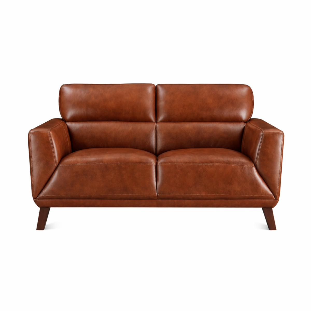 Jammie Genuine Leather Loveseat