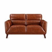 Jammie Genuine Leather Loveseat