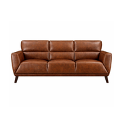 Jammie Genuine Leather Sofa