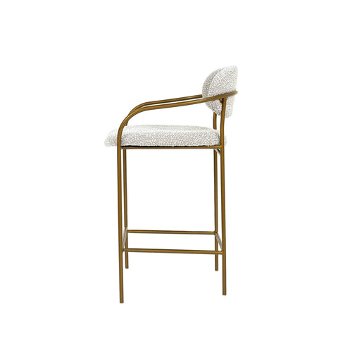 Delora Arm Counter Stool