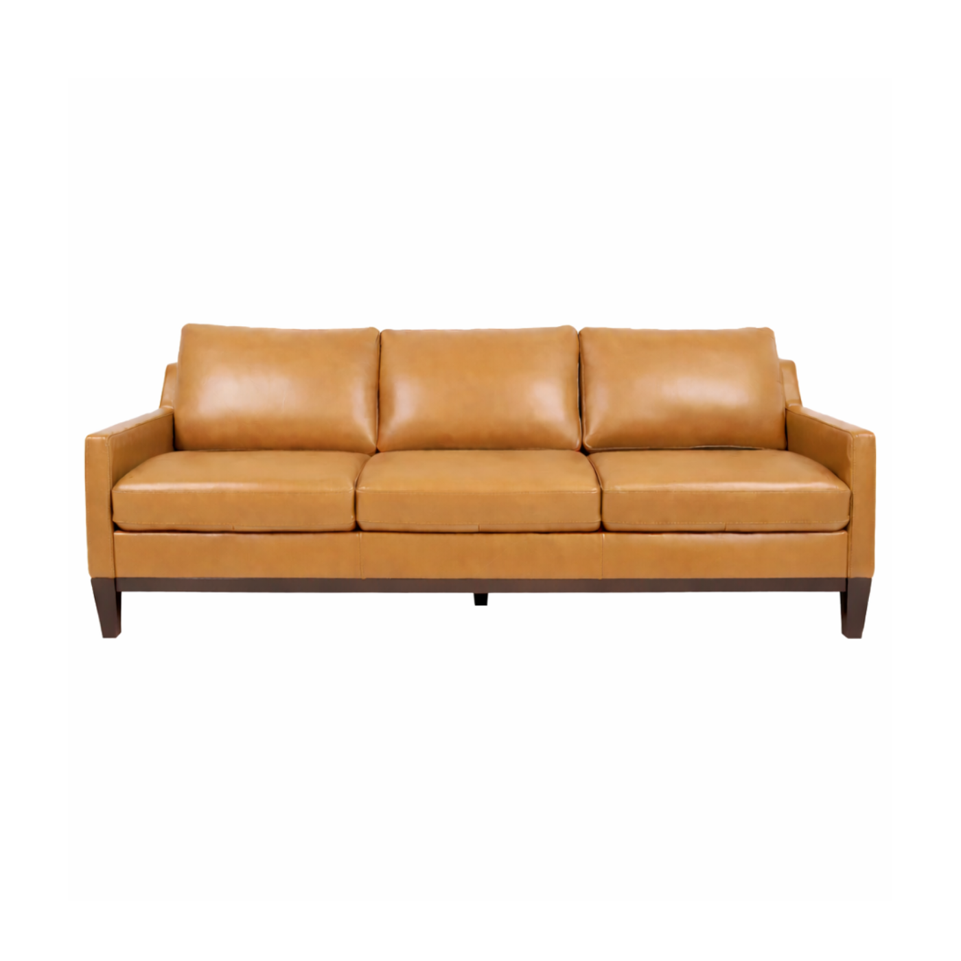 Roba Genuine Leather Sofa