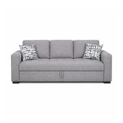 Sloane Pull-Out Sleeper Sofa with 2 Toss Pillows