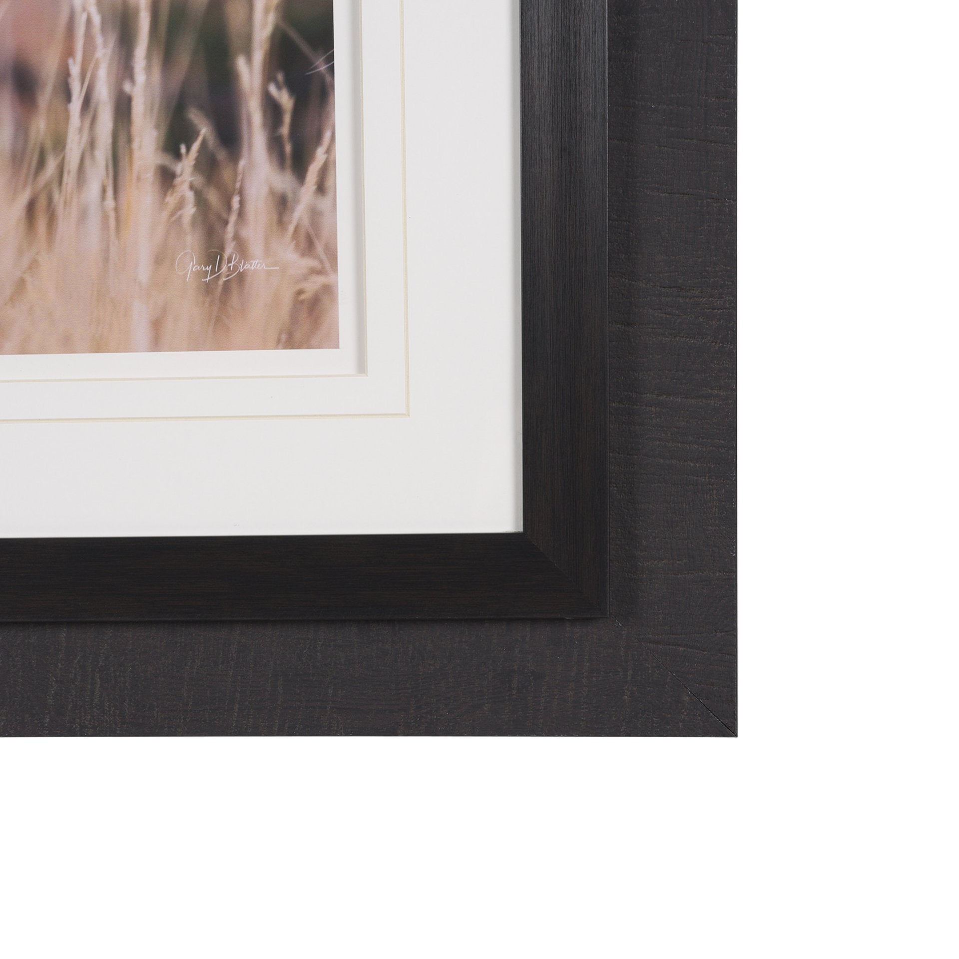 Stop Horsing Around Framed Art Print Matted under Glass