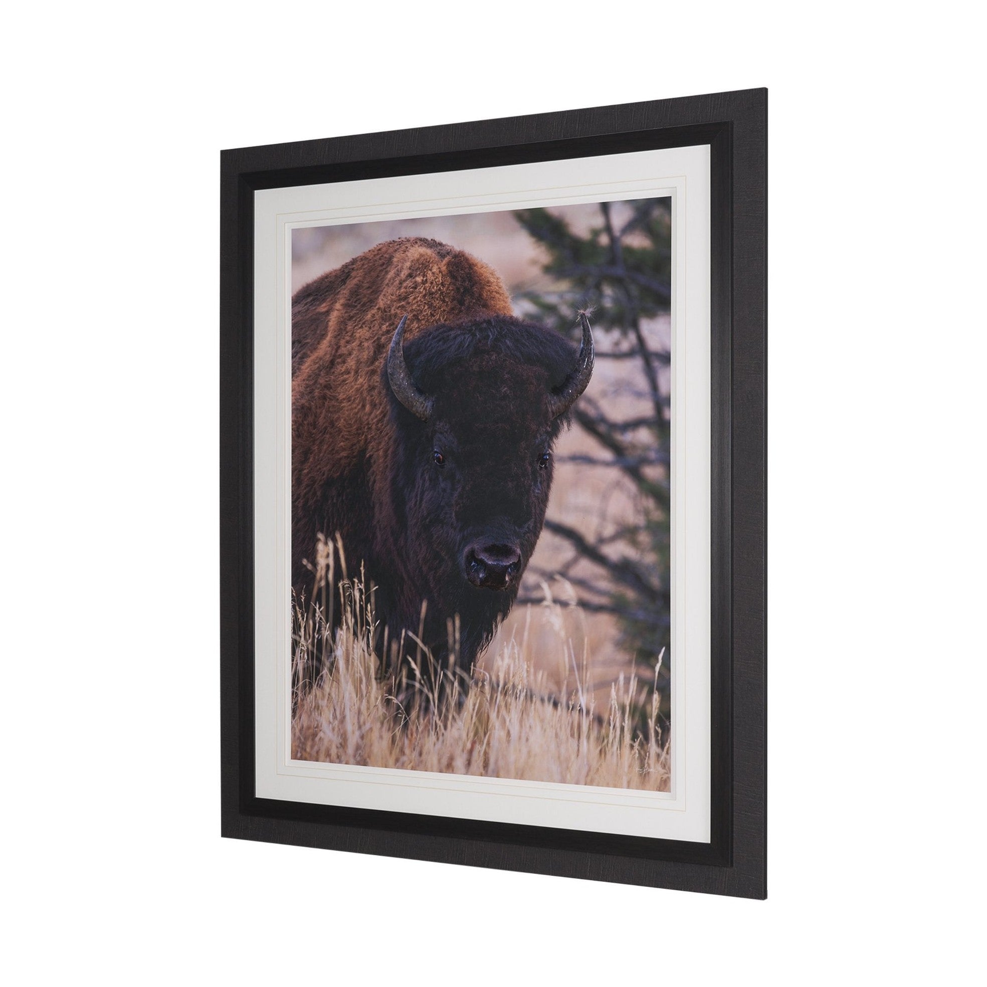 Stop Horsing Around Framed Art Print Matted under Glass