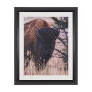 Stop Horsing Around Framed Art Print Matted under Glass