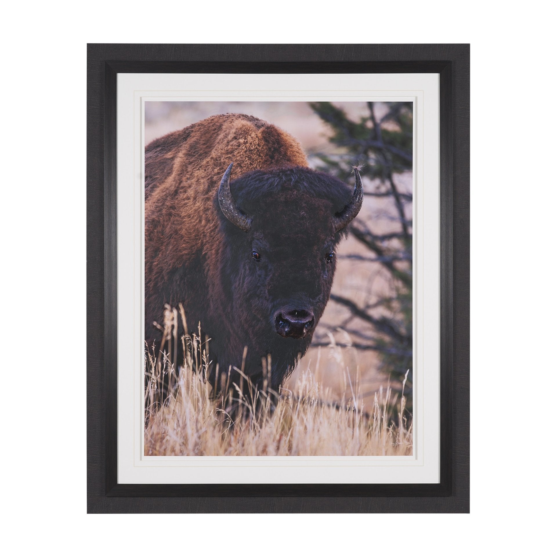 Stop Horsing Around Framed Art Print Matted under Glass
