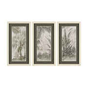 Tropical Coast (Set of 3) Framed Artwork Matted under Glass