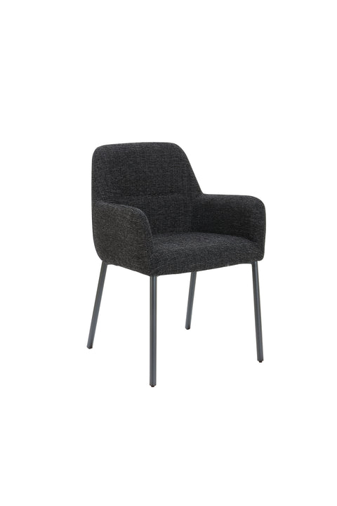 Floor Model Adon Dining Chair - Charcoal