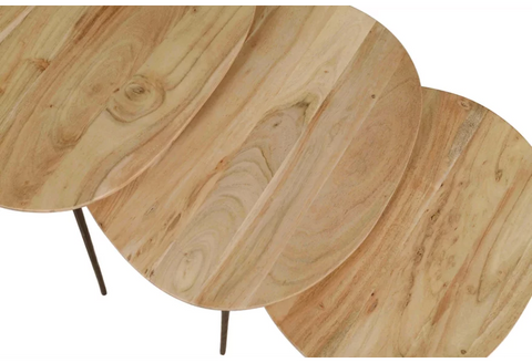 FLOOR MODEL Reeves Nesting Table - Set of 3 - Natural
