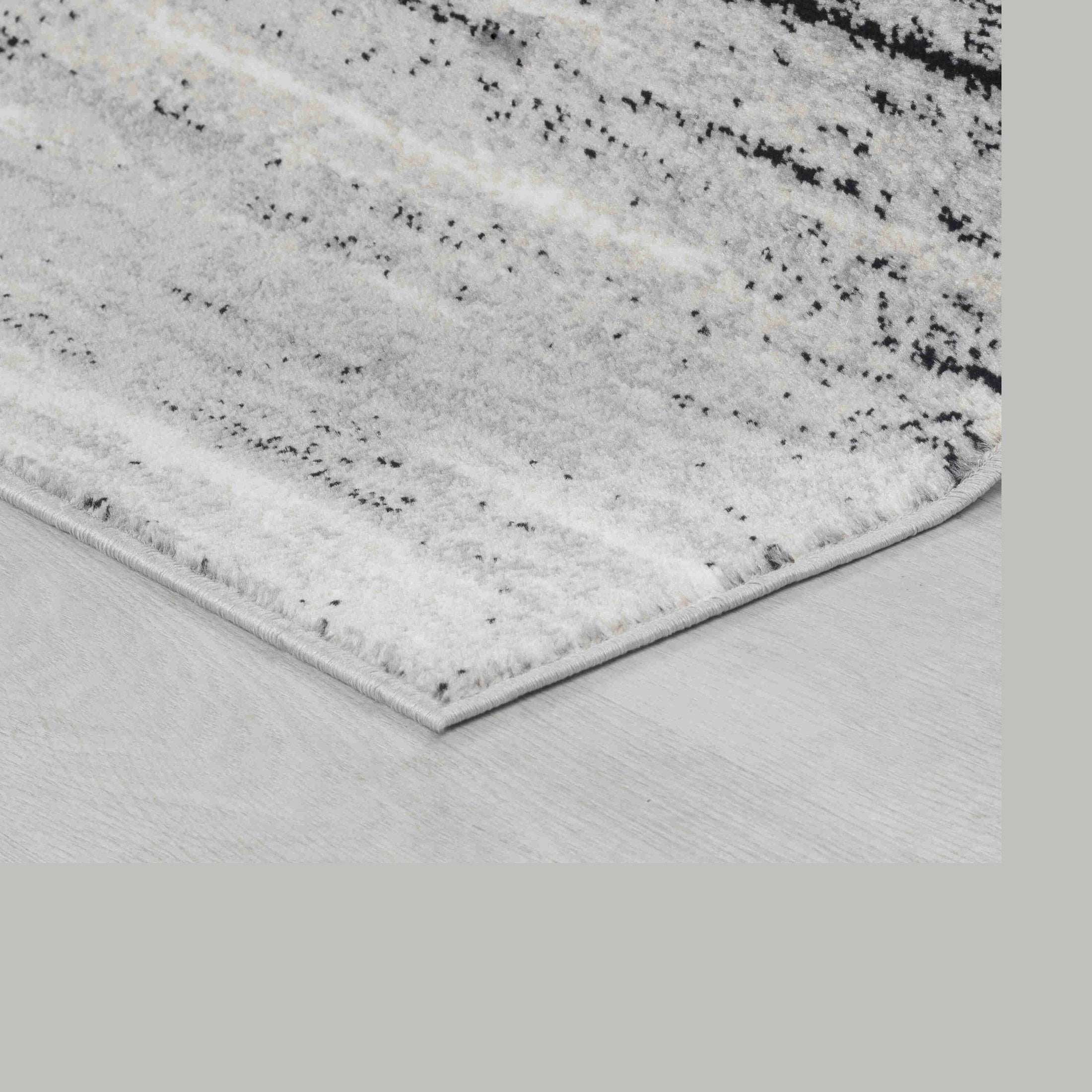 Hamilton Black Ornate Traditional Area Rug