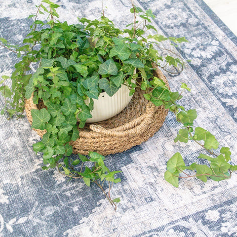 Prismatic Black Geometric Modern Area Rug