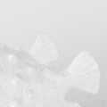 White Resin_8