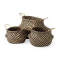 Brown Seagrass | Set of 3_0