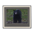 Standing Bear (40 x 32)_0