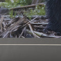 Standing Bear (40 x 32)_5
