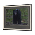 Standing Bear (40 x 32)_1