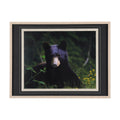 Bear (31 x 41)_0