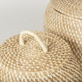 Seagrass | Set of 2 | Flat Lids_5
