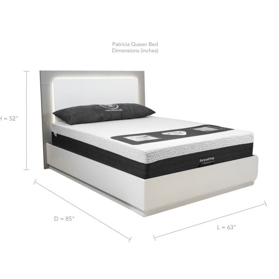 Patricia King Bed With Lift Up Storage - Two Tone