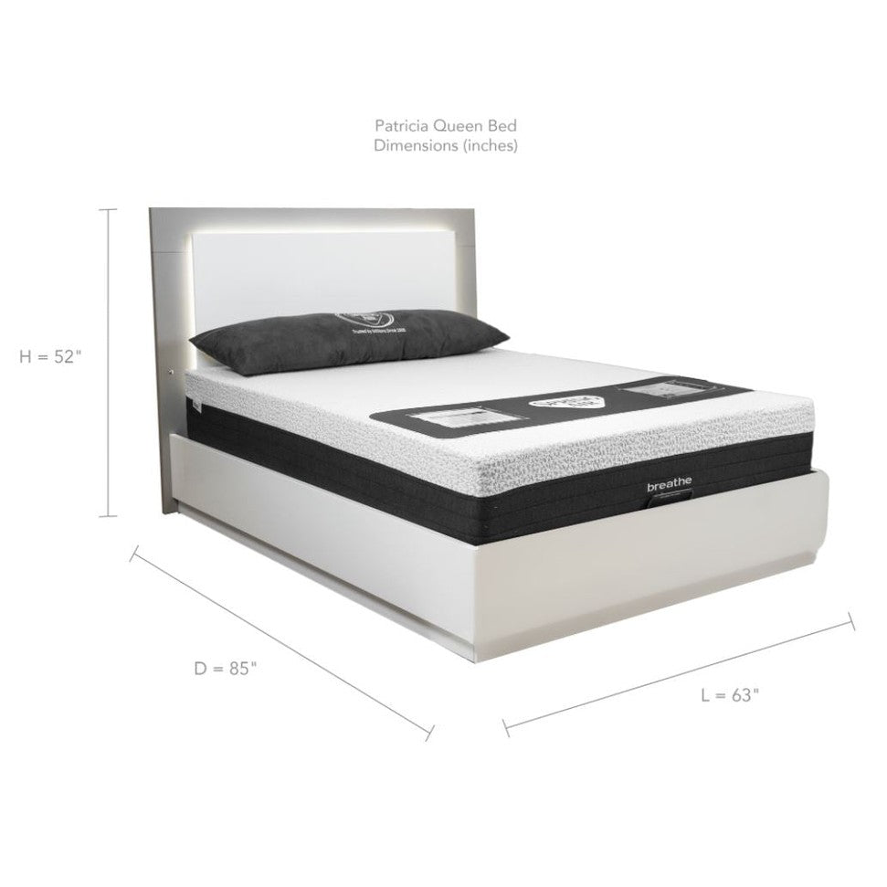 Patricia King Bed With Lift Up Storage - Two Tone