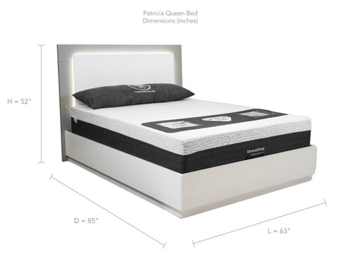 Patricia Queen Bed With Lift Up Storage - Two Tone