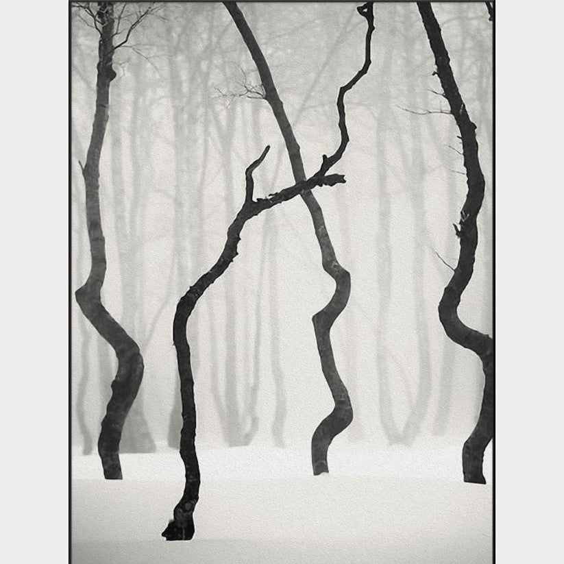 Whistler Set of 5 Alloy Matt - Black Frame Wall Art