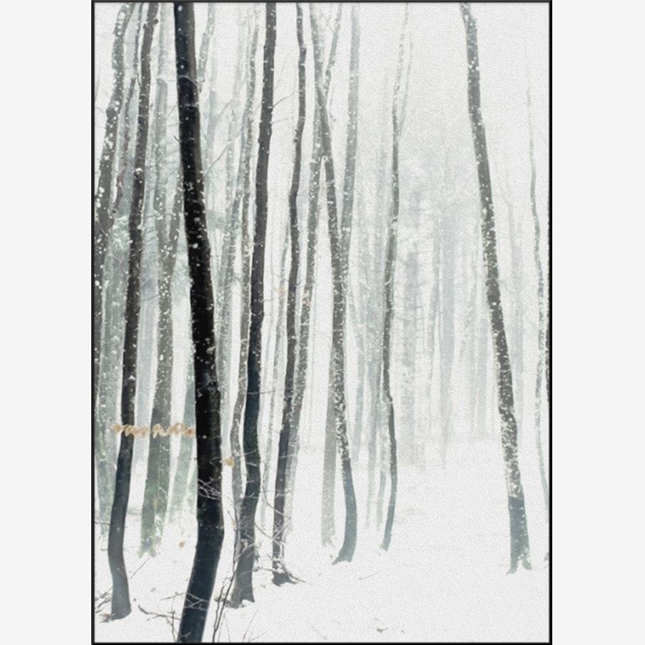 Whistler Set of 5 Alloy Matt - Black Frame Wall Art