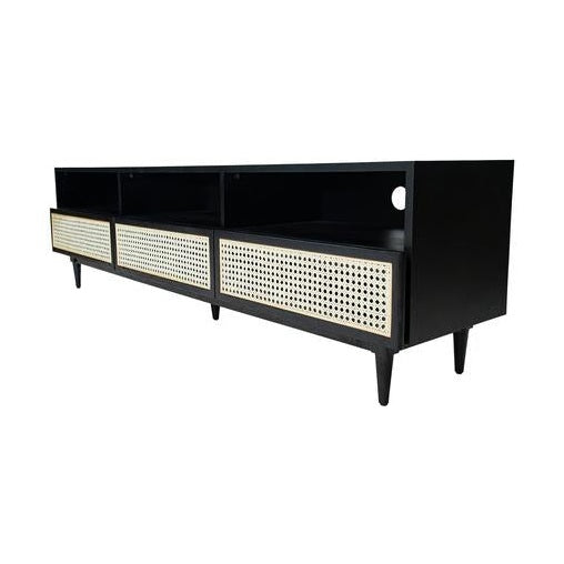 Cane Media Unit – Accents@Home