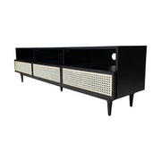 Cane Media Unit
