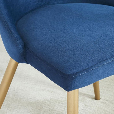 Carmilla Side Chair, set of 2 in Blue