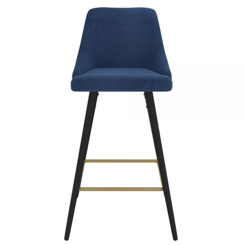 Roxanne II 26'' Counter Stool, set of 2 in Blue