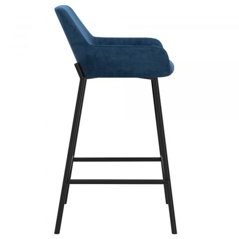 Baily 26'' Counter Stool, set of 2 in Blue