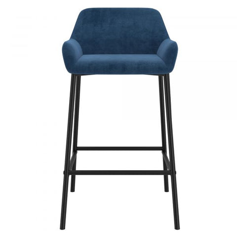 Baily 26'' Counter Stool, set of 2 in Blue