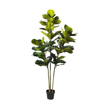 Fiddle Leaf Fig Faux Plant 200cm/ 78.74"