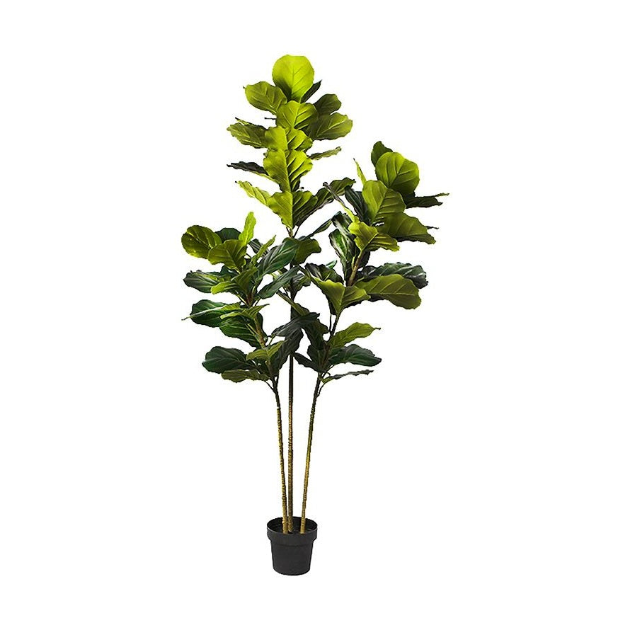 Fiddle Leaf Fig Faux Plant 200cm/ 78.74"