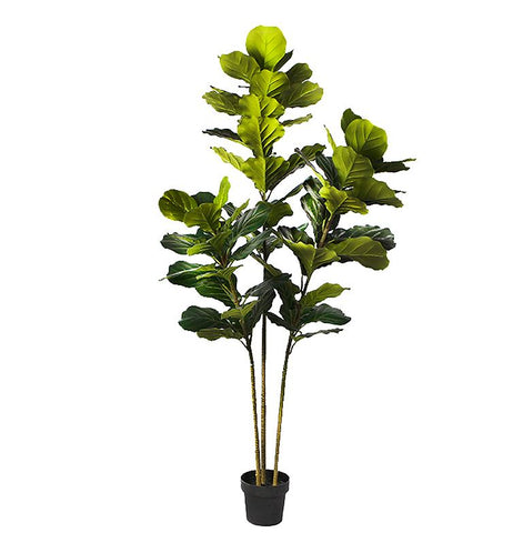 Fiddle Leaf Fig Faux Plant 200cm/ 78.74