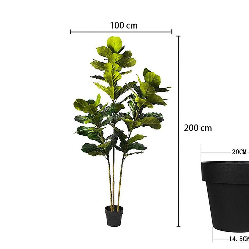 Fiddle Leaf Fig Faux Plant 200cm/ 78.74"