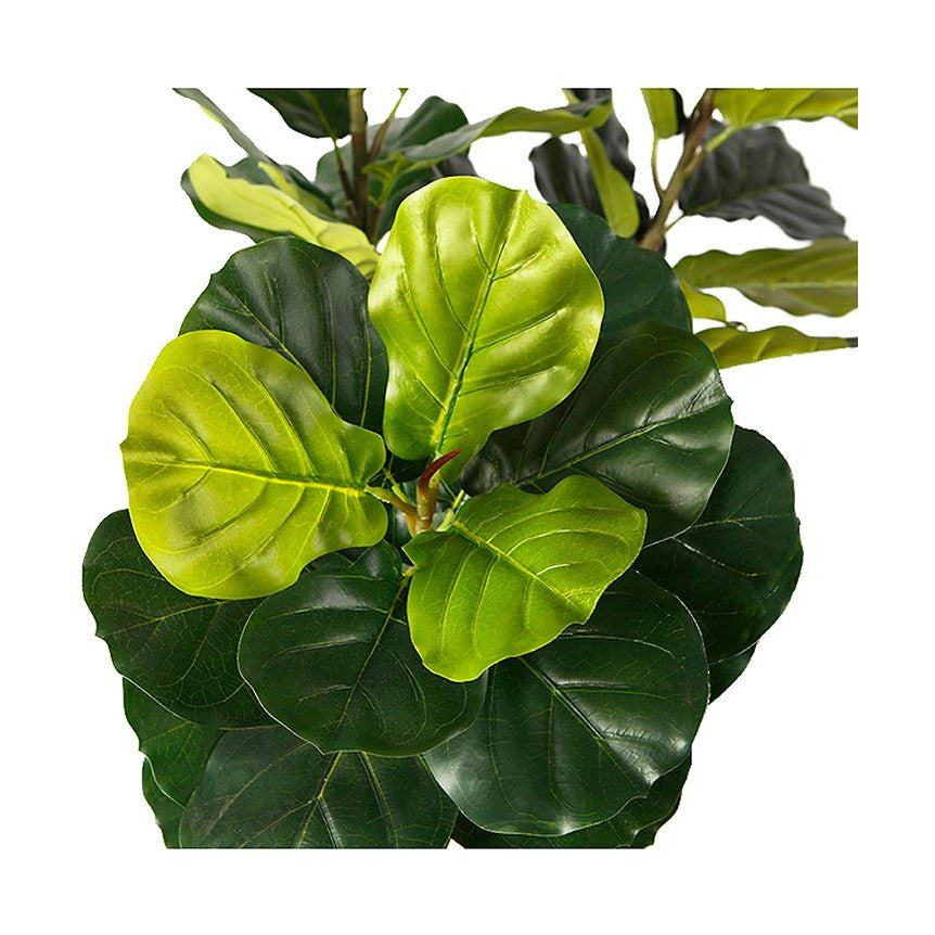 Fiddle Leaf Fig Faux Plant 200cm/ 78.74"